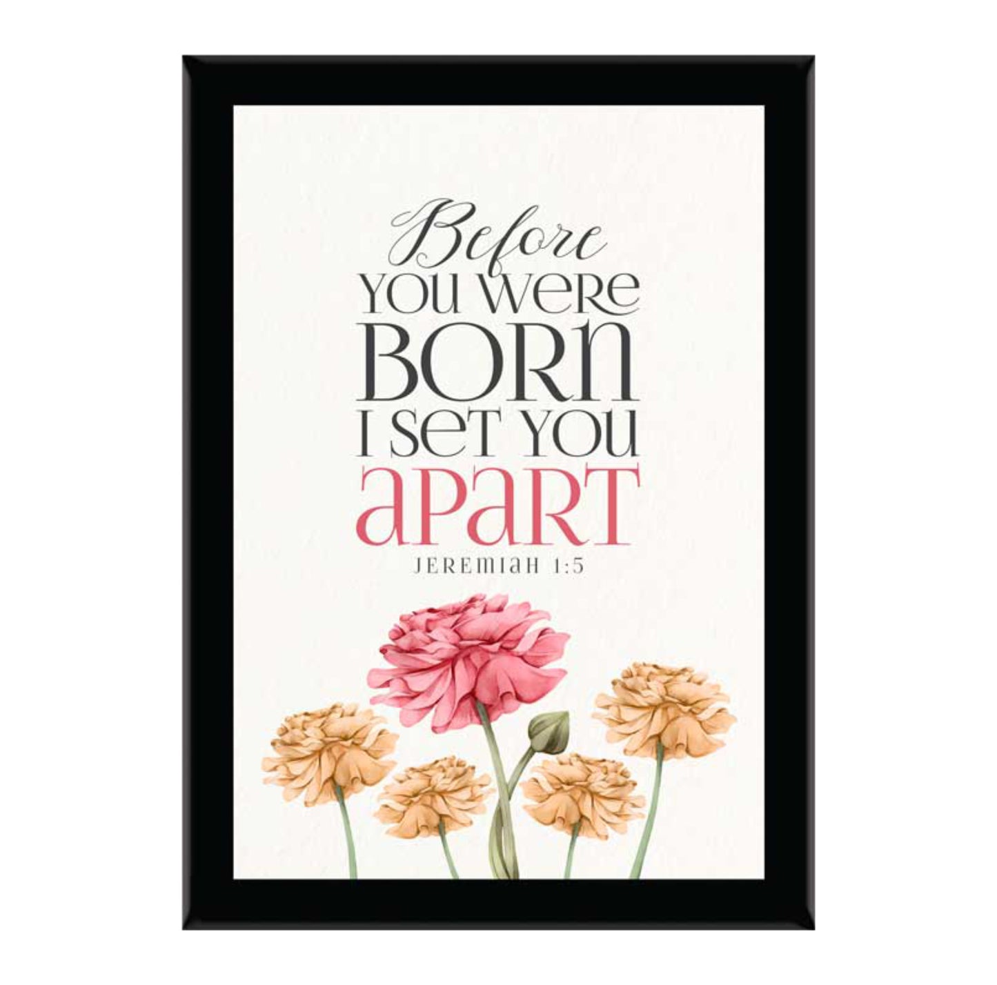 Before You Were Born I Set You Apart - Jer 1:5