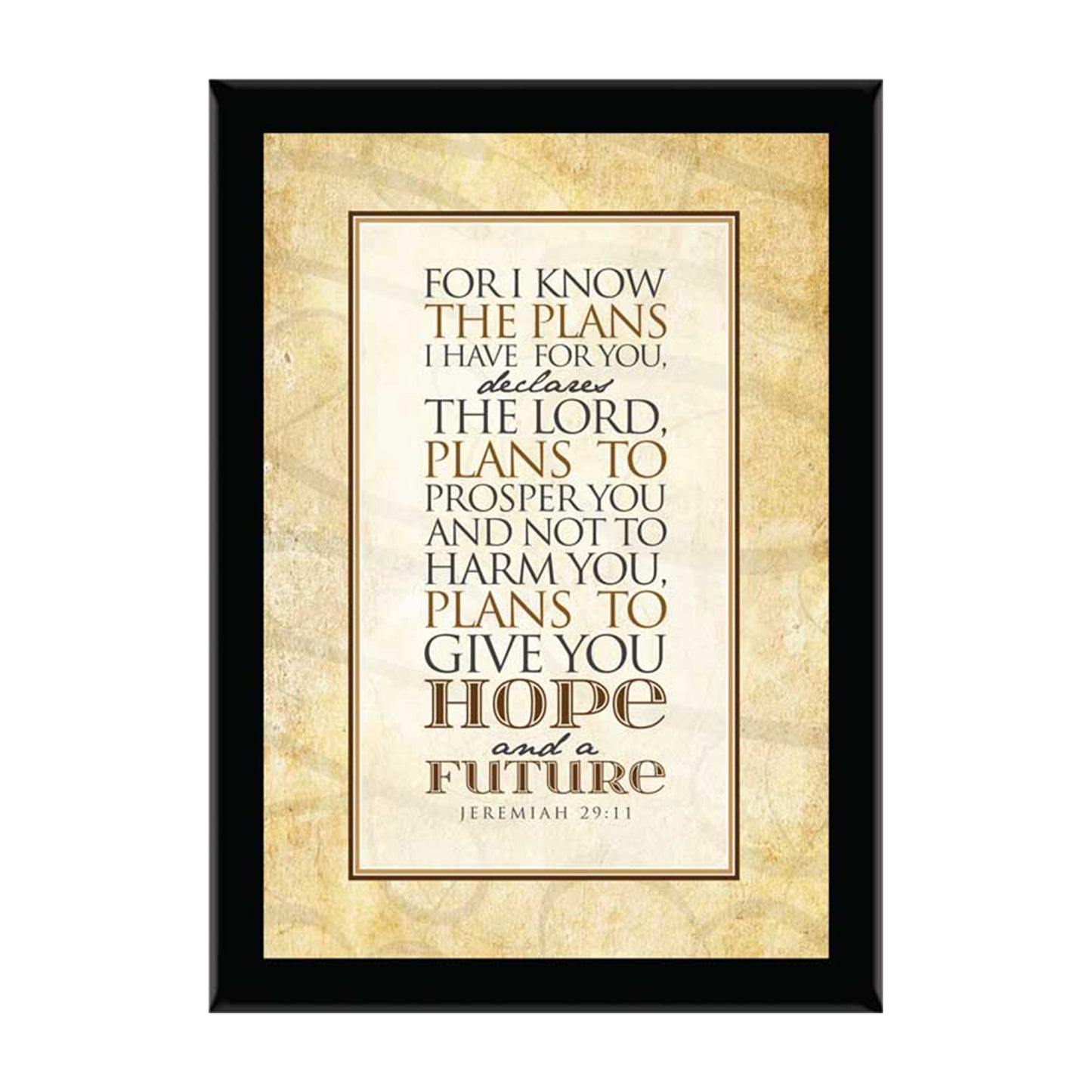 For I Know The Plans I Have For You