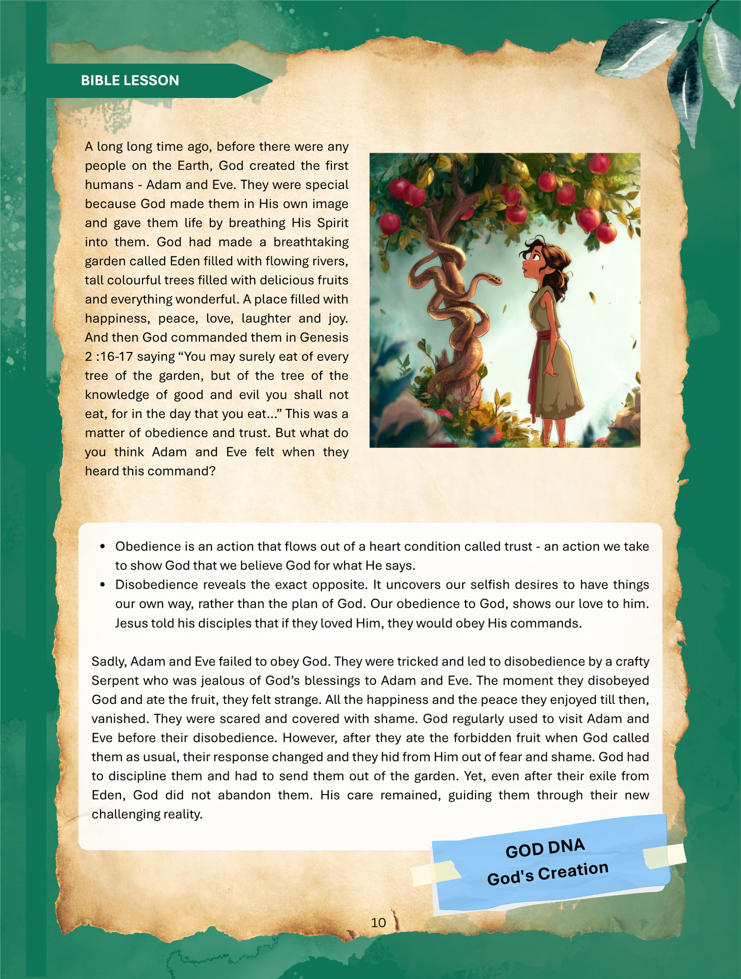 Sprouts Workbook - Juniors 1