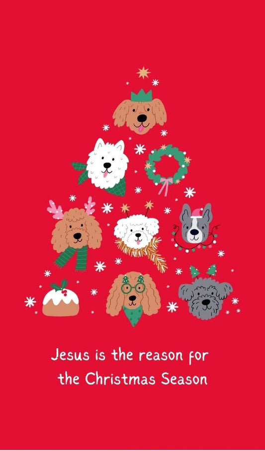 Jesus is the Reason for the Christmas season