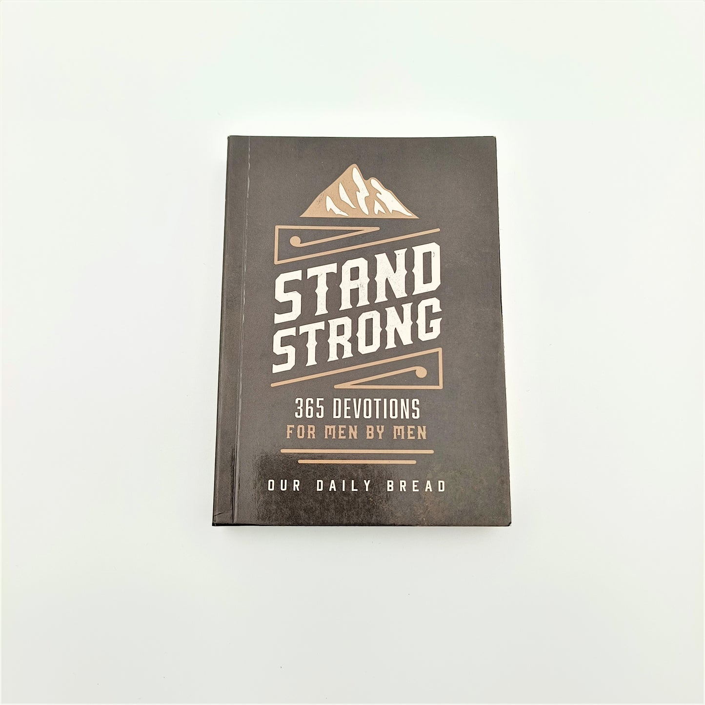 Stand Strong - 365 Devotions For Men by Men