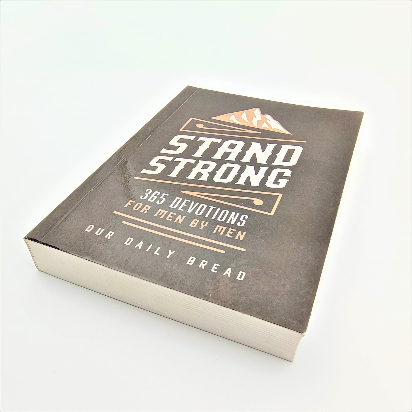 Stand Strong - 365 Devotions For Men by Men