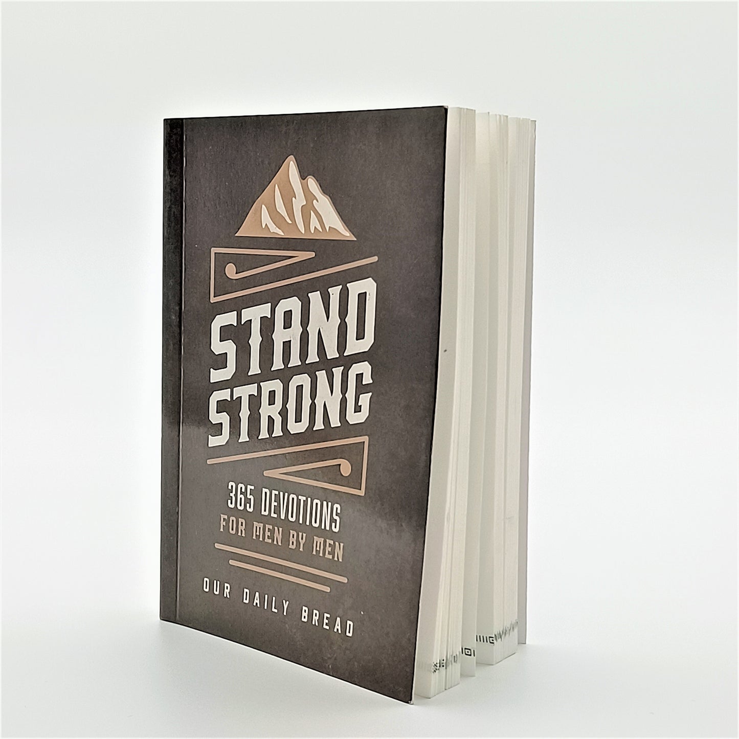 Stand Strong - 365 Devotions For Men by Men