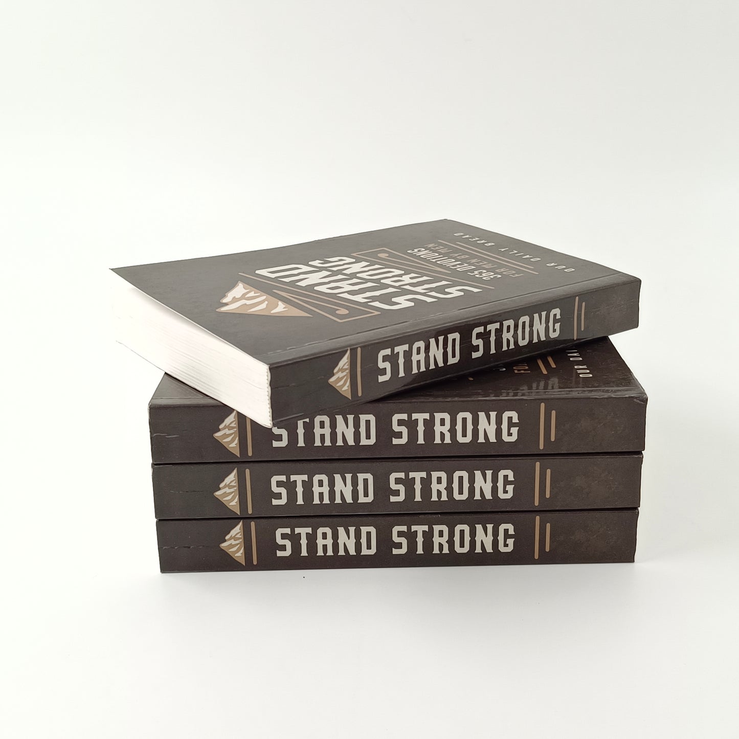 Stand Strong - 365 Devotions For Men by Men