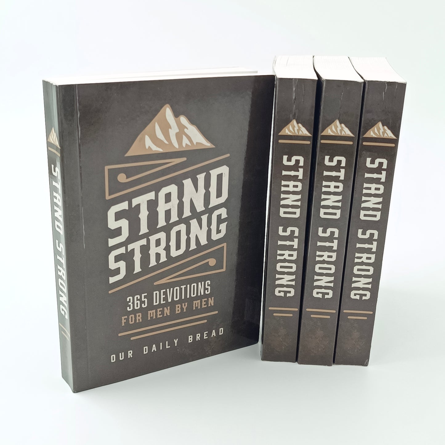 Stand Strong - 365 Devotions For Men by Men