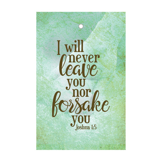 I will never leave you nor forsake you