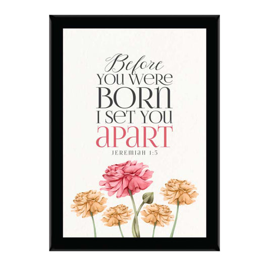 Before You Were Born I Set You Apart - Jer 1:5