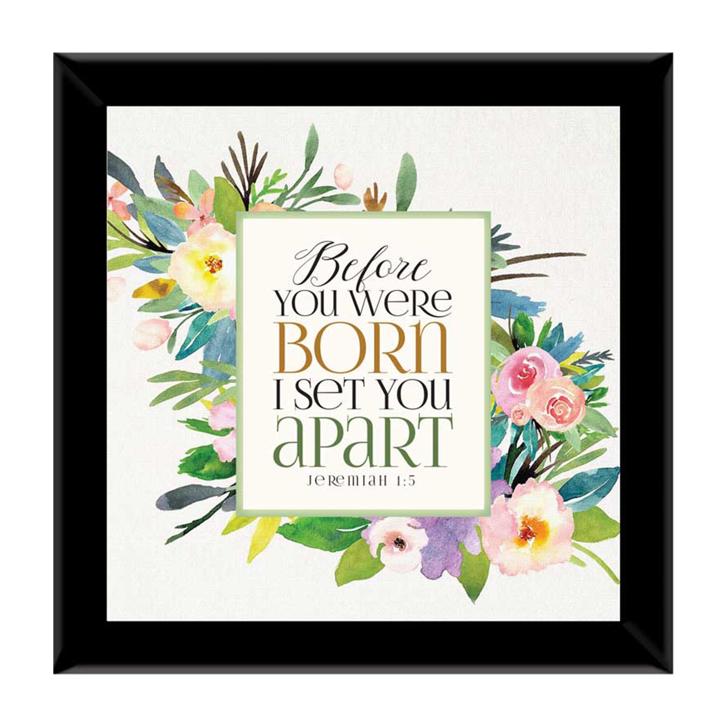 Before You Were Born I Set You Apart