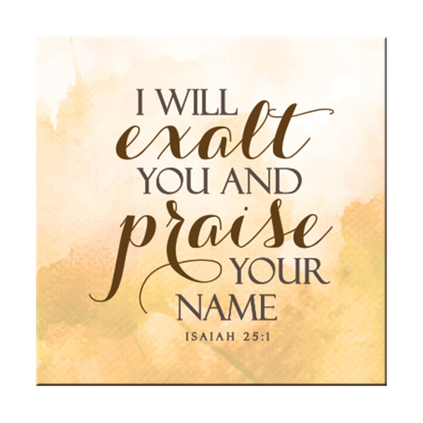 I Will Exalt And Praise Your Name